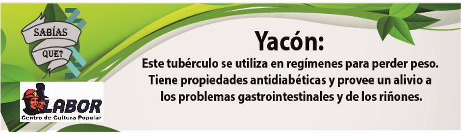 yacon_1.jpg