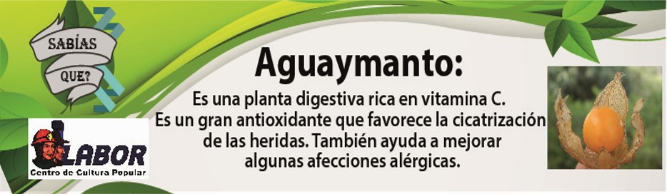 aguaymanto_5_de_setiembre.jpg