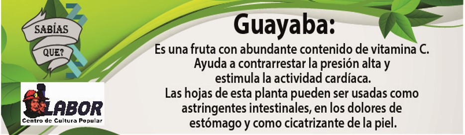 guayaba_30_de_agosto.jpg