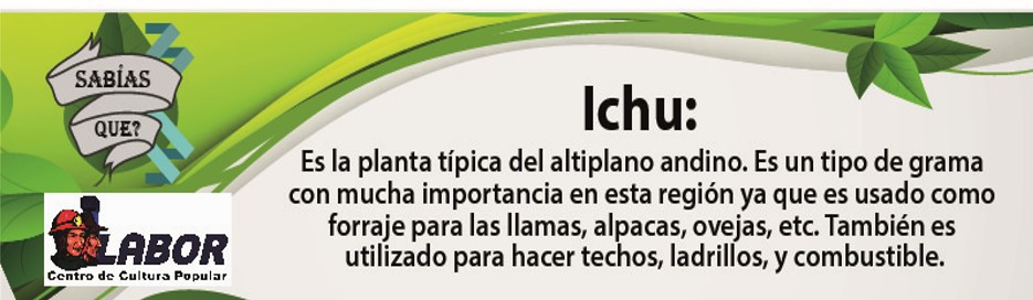 ichu_4_sep.jpg